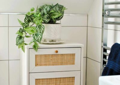 Peperomia plant on storage unit in shower room, next to heated towel rail.